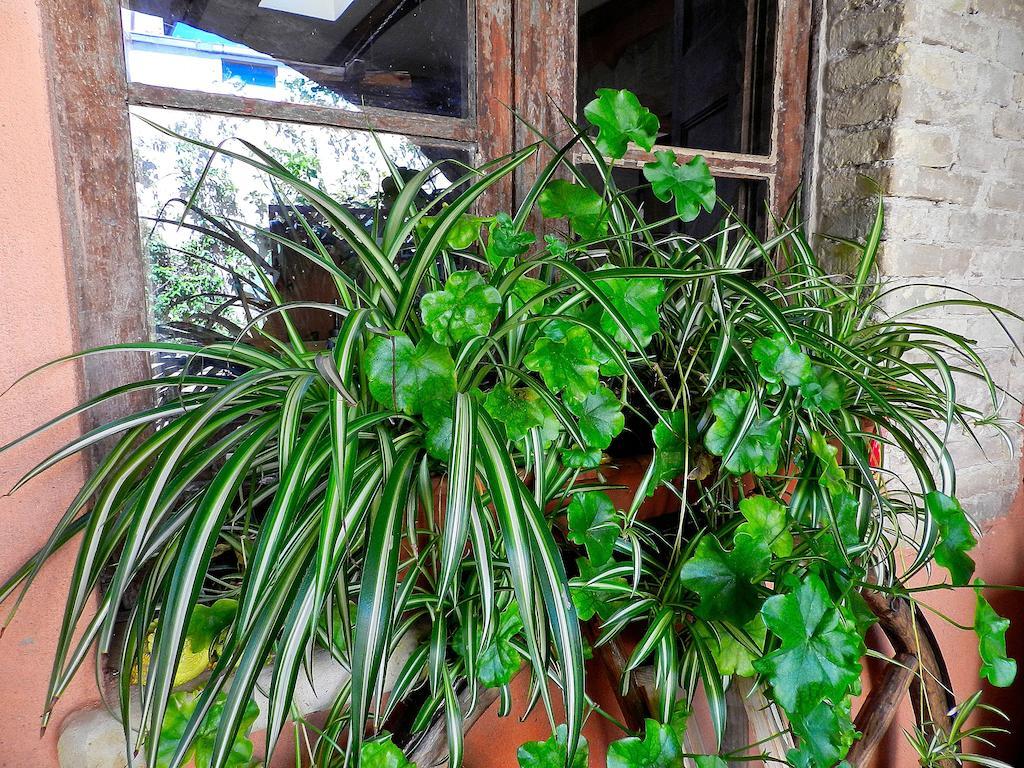 Anninnia Quartucciu Exterior foto